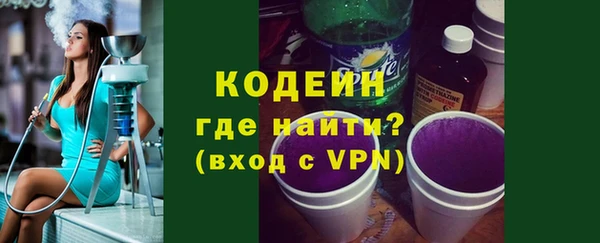 индика Новодвинск