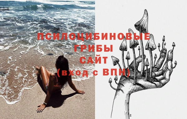 мяу мяу мука Алзамай