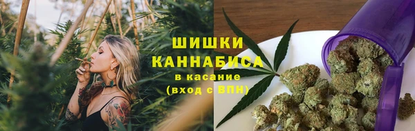 PSILOCYBIN Абинск