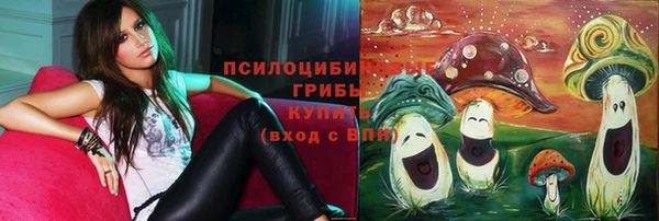 PSILOCYBIN Абинск